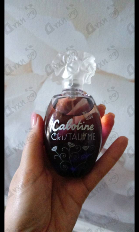 Отзыв Gres Cabotine Cristalisme