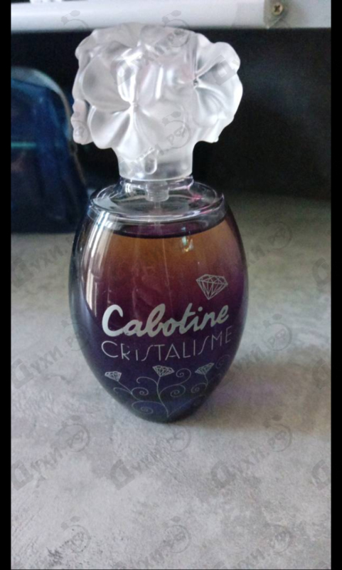 Купить Gres Cabotine Cristalisme