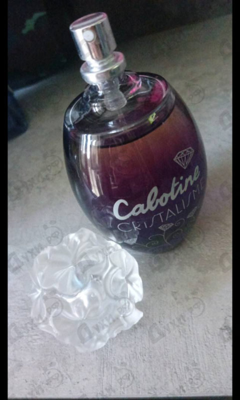 Отзыв Gres Cabotine Cristalisme