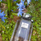 Отзывы Gucci Flora Generous Violet