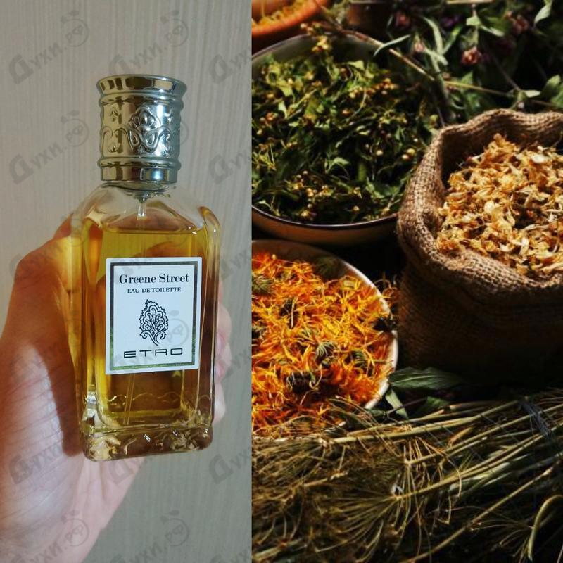 Отзывы Etro Greene Street Парфюмерия Greene Street от Etro