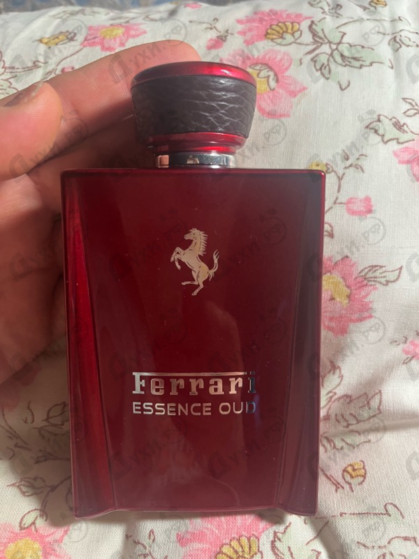 Парфюмерия Essence Oud от Ferrari