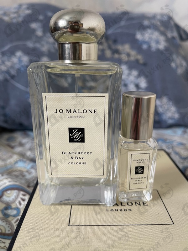 Отзывы Jo Malone Blackberry & Bay