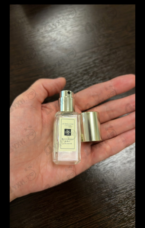 Парфюмерия Jo Malone Blackberry & Bay