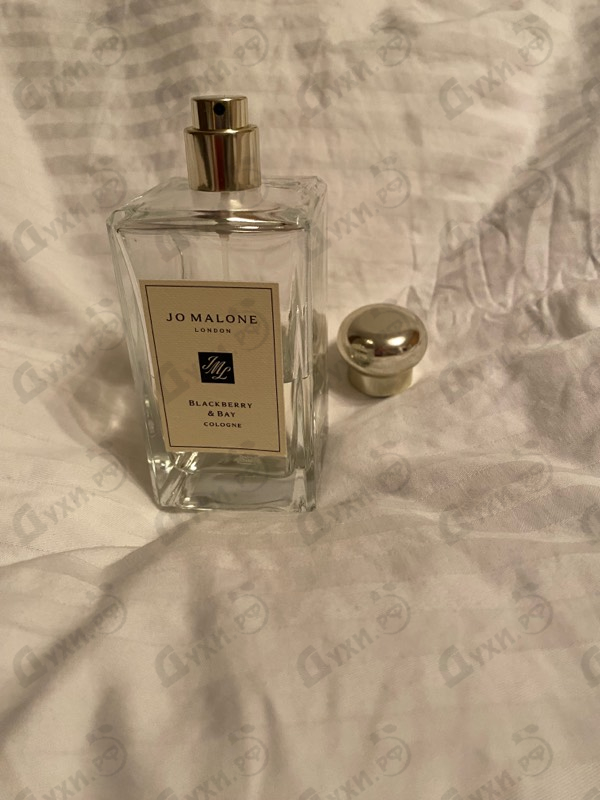 Духи Blackberry & Bay от Jo Malone