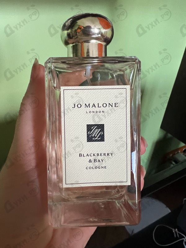 Отзыв Jo Malone Blackberry & Bay