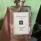 Отзывы Jo Malone Blackberry & Bay