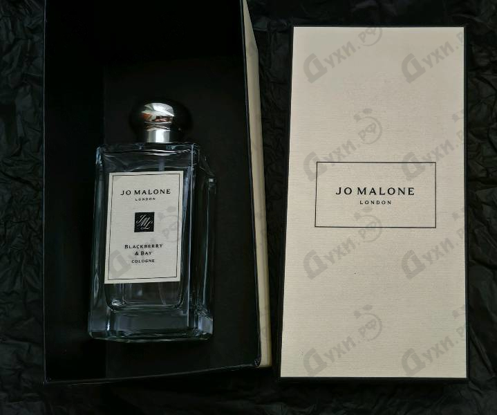 Духи Blackberry & Bay от Jo Malone