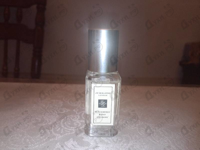 Купить Blackberry & Bay от Jo Malone