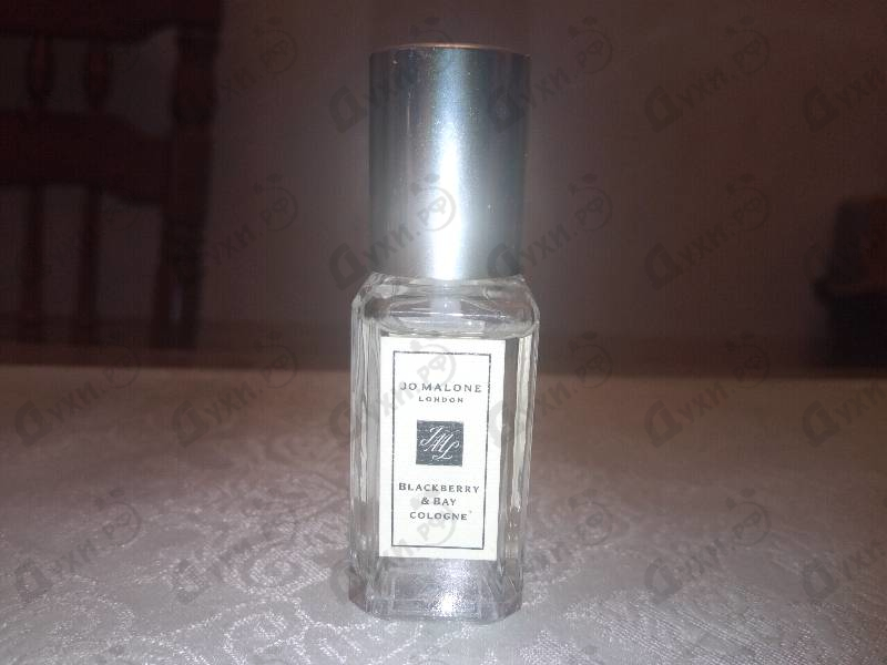 Парфюмерия Blackberry & Bay от Jo Malone