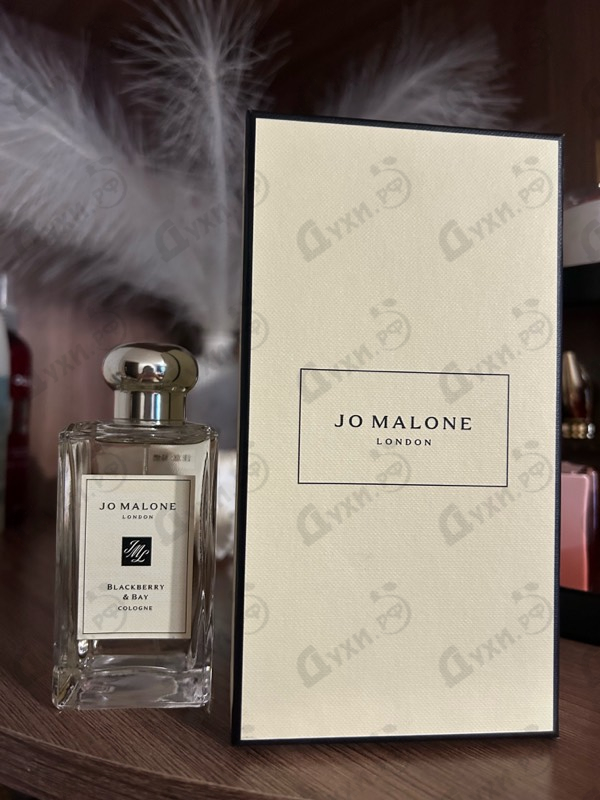 Духи Blackberry & Bay от Jo Malone
