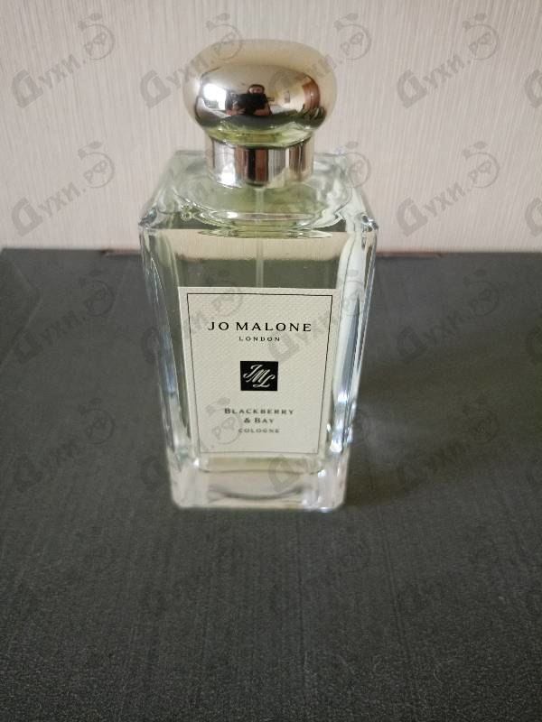 Парфюмерия Blackberry & Bay от Jo Malone