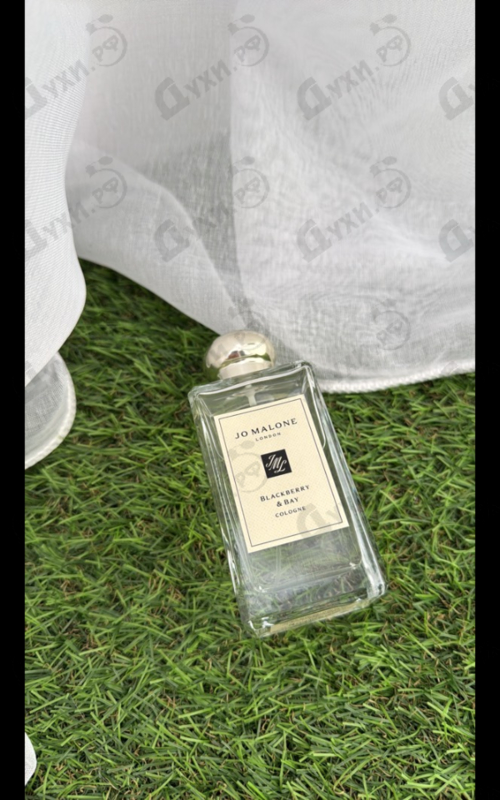 Парфюмерия Blackberry & Bay от Jo Malone