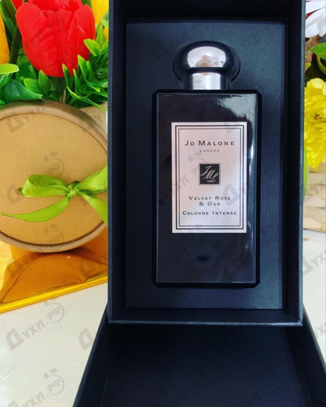 Отзывы Jo Malone Velvet Rose & Oud