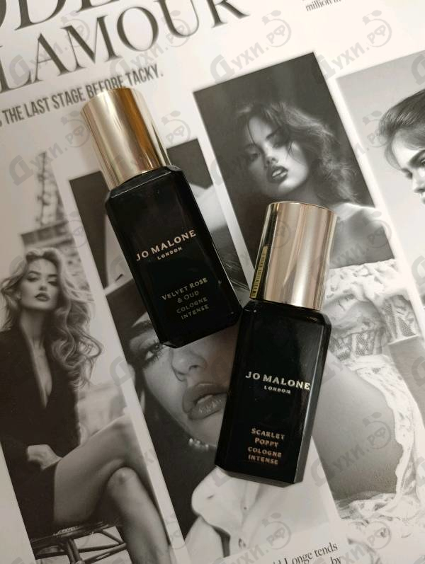 Купить Velvet Rose & Oud от Jo Malone
