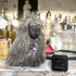 Отзыв Jo Malone Velvet Rose & Oud Духи Velvet Rose & Oud от Jo Malone