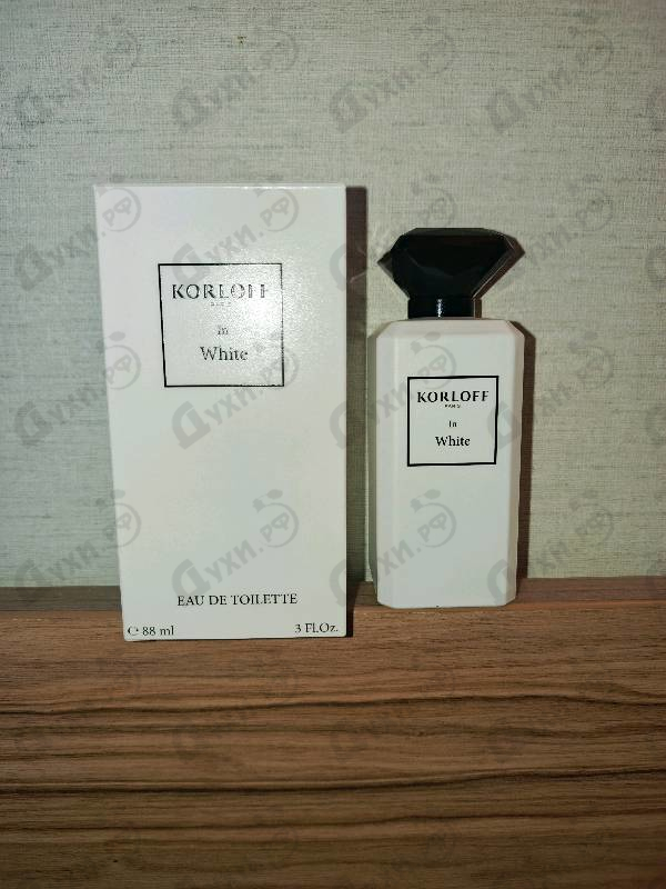 Духи In White от Korloff