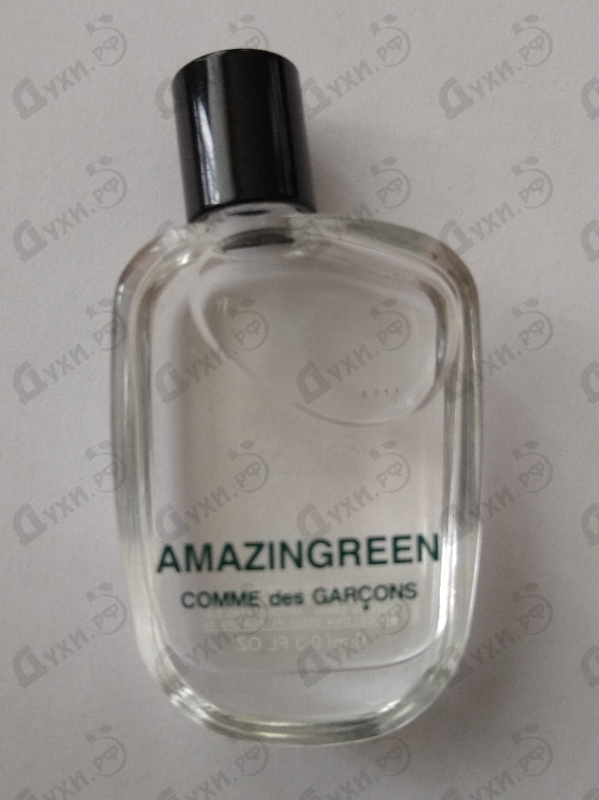 Отзывы Comme Des Garcons Amazingreen