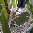 Отзыв Comme Des Garcons Amazingreen