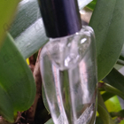 Отзыв Comme Des Garcons Amazingreen