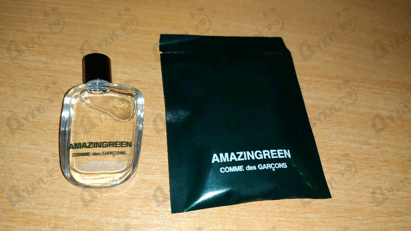 Купить Amazingreen от Comme Des Garcons