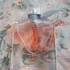 Отзывы Lancome La Vie Est Belle Духи La Vie Est Belle от Lancome