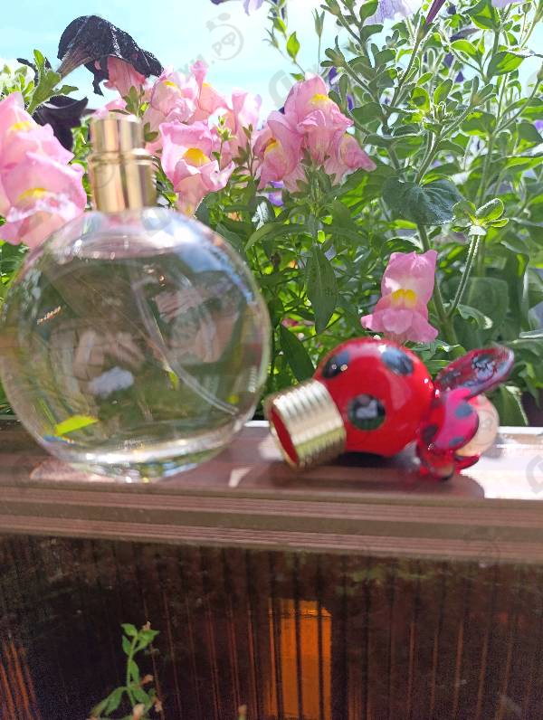 Духи Dot от Marc Jacobs