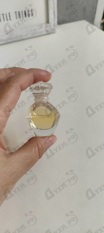 Купить Dynastie Golden от Marina De Bourbon