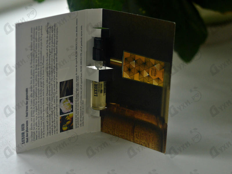 Купить Memo Luxor Oud