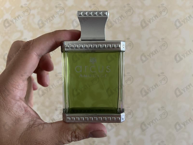 Купить Arcus от Amouage