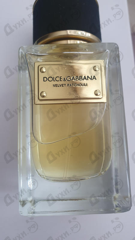 Парфюмерия Velvet Patchouli от Dolce & Gabbana