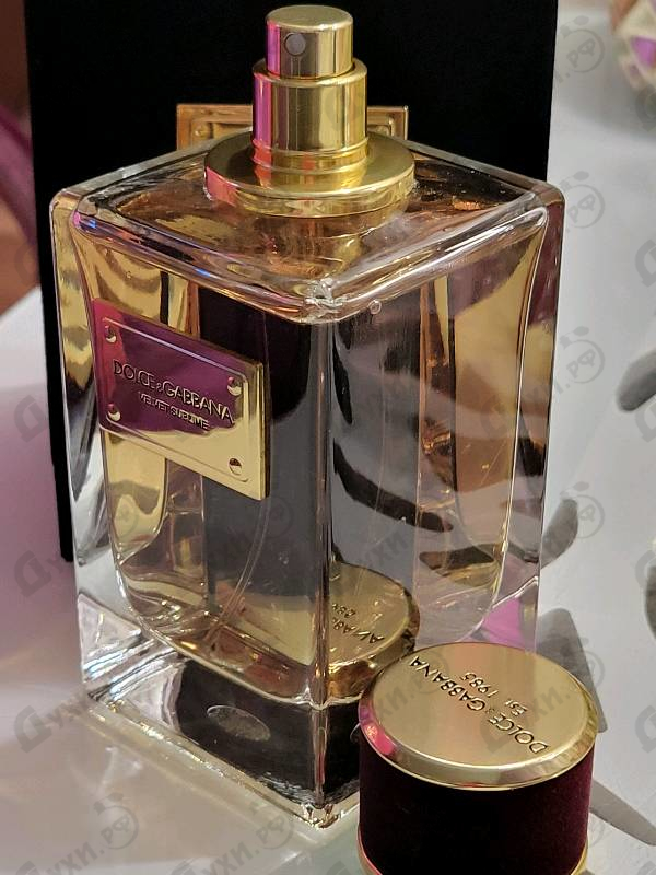 Купить Dolce & Gabbana Velvet Sublime