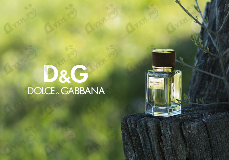 Парфюмерия Dolce & Gabbana Velvet Wood