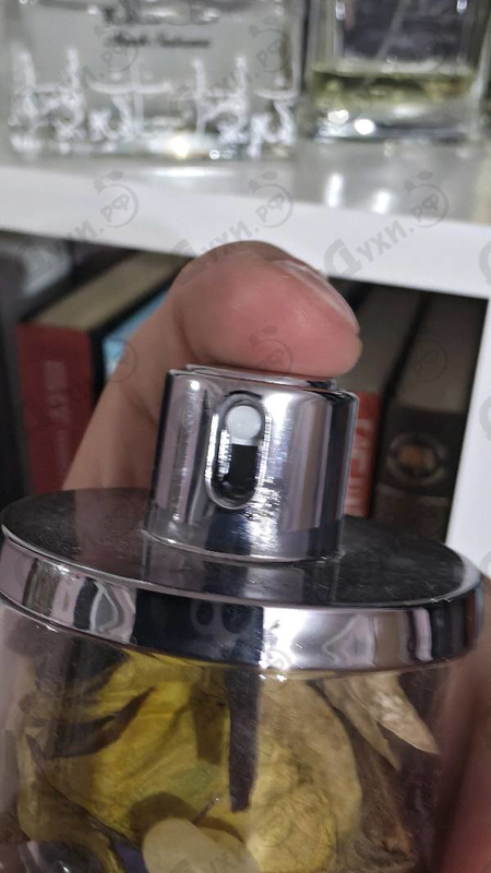 Парфюмерия Shadow Grey от Ajmal