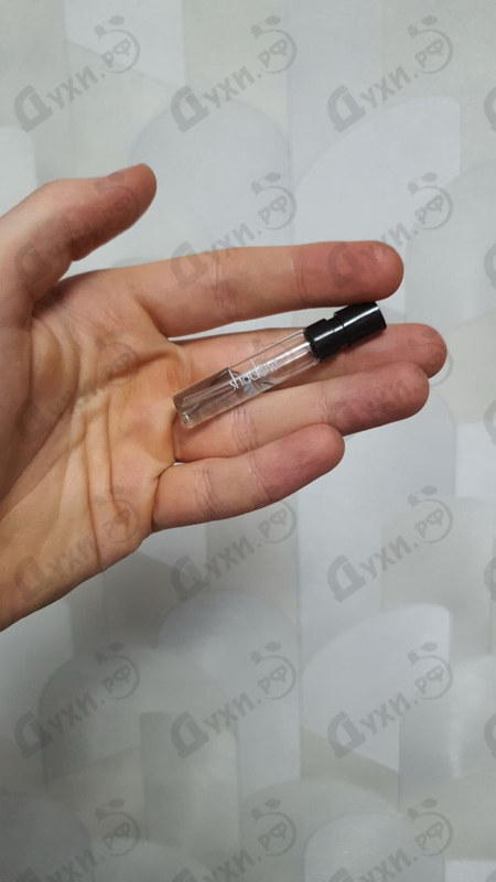 Купить Ajmal Shadow Grey