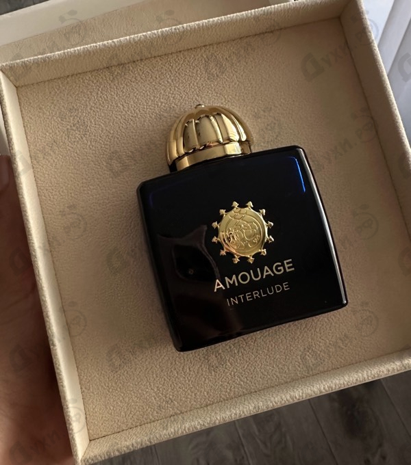 Отзывы Amouage Interlude