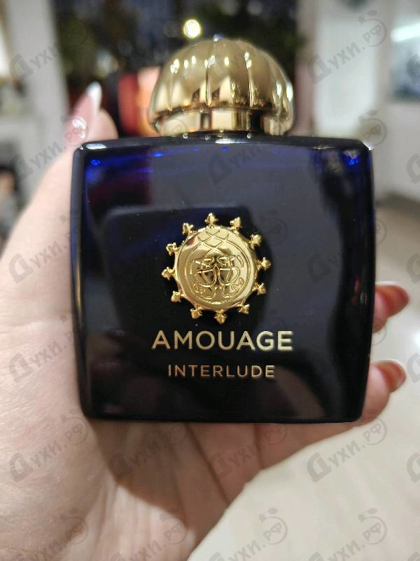 Купить Interlude от Amouage
