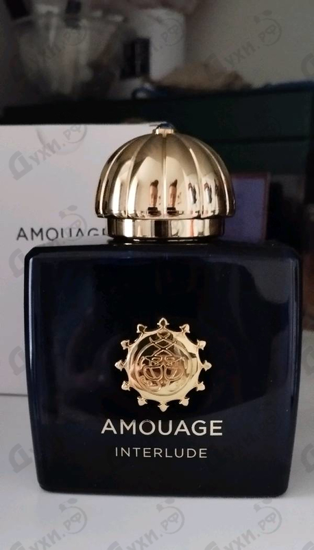 Купить Interlude от Amouage