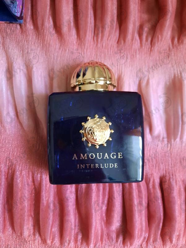Купить Interlude от Amouage