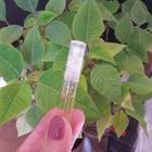 Духи Interlude от Amouage