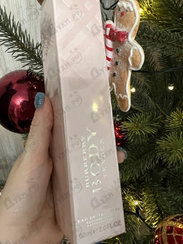 Купить Body Tender от Burberry Отзыв Burberry Body Tender