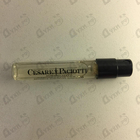 Духи for Her от Cesare Paciotti