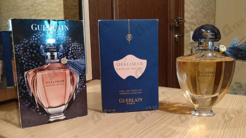 Купить Shalimar Parfum Initial L'eau от Guerlain