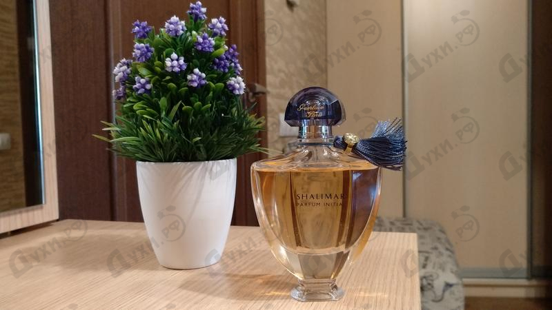 Отзывы Guerlain Shalimar Parfum Initial L'eau