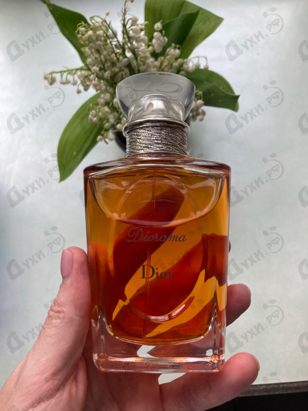 Купить Diorama от Christian Dior Парфюмерия Christian Dior Diorama