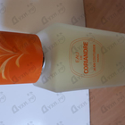 Духи Eau De Coriandre от Jean Couturier