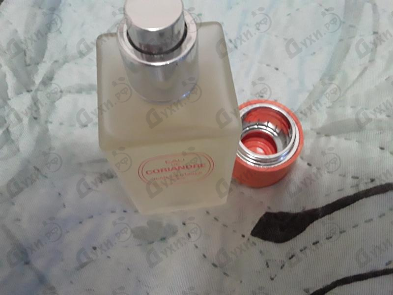 Купить Jean Couturier Eau De Coriandre