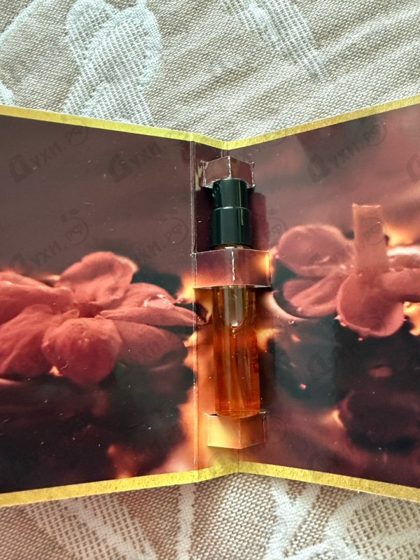 Отзывы Montale Black Aoud
