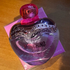 Отзывы Moschino Pink Bouquet