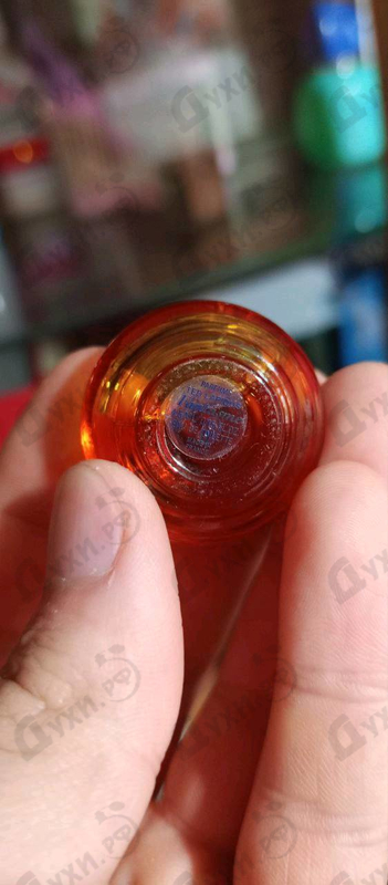 Отзывы Ted Lapidus Fantasme